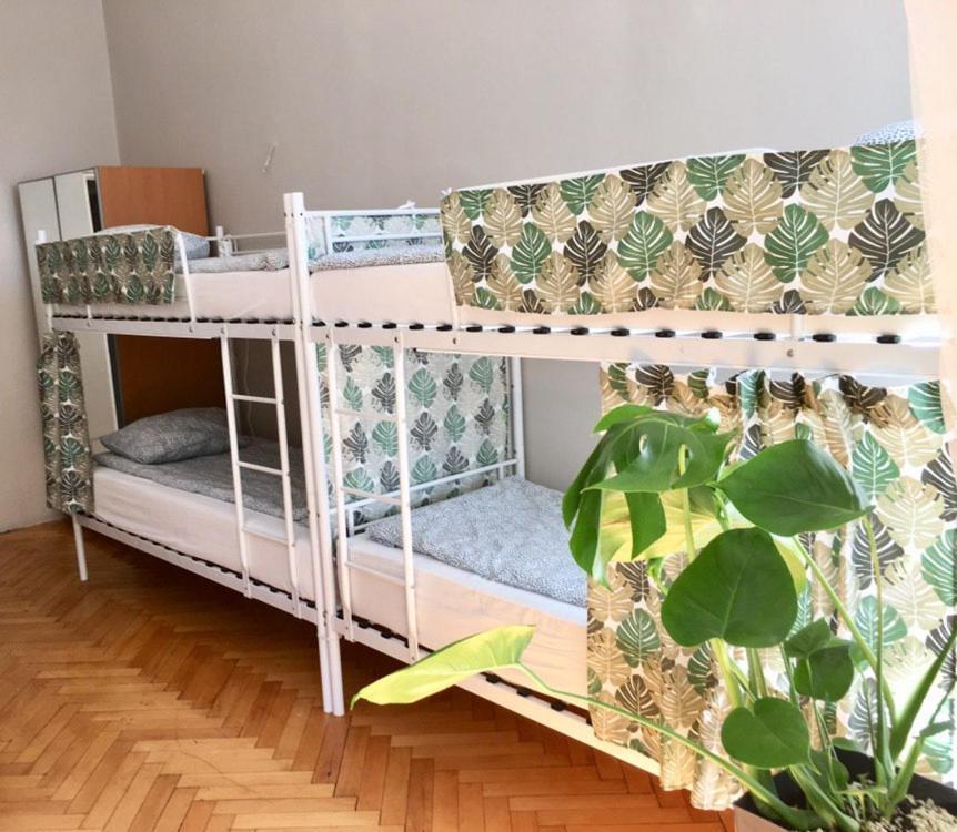 Green House Krasków Εξωτερικό φωτογραφία
