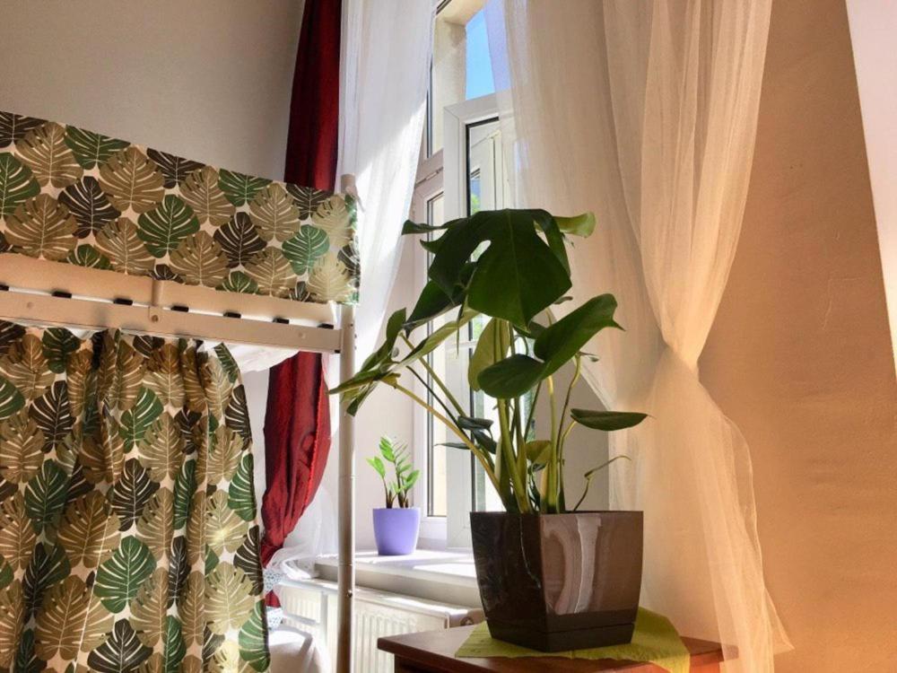 Green House Krasków Εξωτερικό φωτογραφία